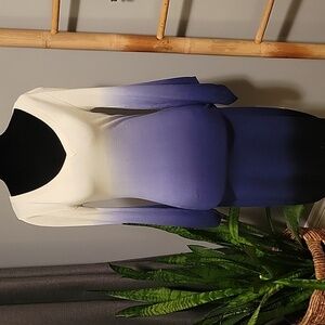 Rebecca Minkoff Ombre Knit Dress